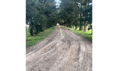 Chacra de 7 ha en San Miguel del Monte - La Escondida