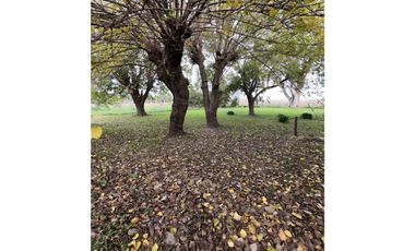Chacra de 7 ha en San Miguel del Monte - La Escondida