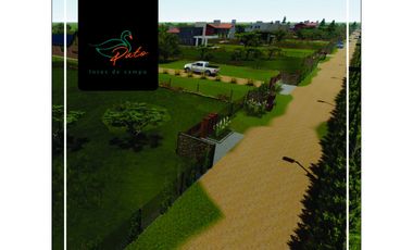 VENTA DE  LOTES DE CAMPO DE  EN LOS MOLLES - SAN LUIS