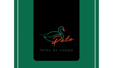 VENTA DE  LOTES DE CAMPO DE  EN LOS MOLLES - SAN LUIS