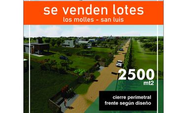 VENTA DE  LOTES DE CAMPO DE  EN LOS MOLLES - SAN LUIS