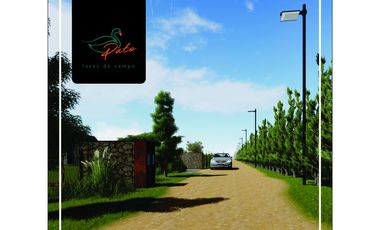 VENTA DE  LOTES DE CAMPO DE  EN LOS MOLLES - SAN LUIS