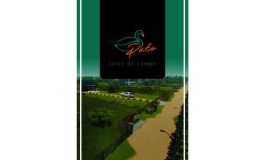 VENTA DE  LOTES DE CAMPO DE  EN LOS MOLLES - SAN LUIS