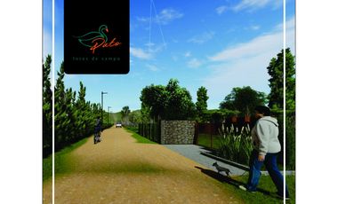 VENTA DE  LOTES DE CAMPO DE  EN LOS MOLLES - SAN LUIS