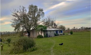 VENDE CAMPO 3 HAS. CON CASA EN PEREZ