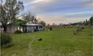 VENDE CAMPO 3 HAS. CON CASA EN PEREZ