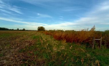 VENDE CAMPO 3 HAS. CON CASA EN PEREZ