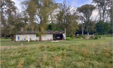 VENDE CAMPO 3 HAS. CON CASA EN PEREZ