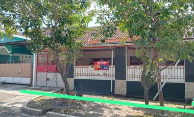 rumah luas bersih rapi dekat bamdara dan jln adi sucipto