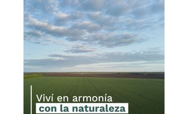 VENTA LOTES  FINANCIADOS PUERTO SAN MARTIN IDEAL UBICACION