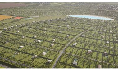 Lote 294 Vida Lagoon