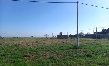 LOTEO CORONEL ARNOLD