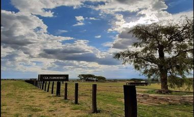 VENDO LOTE EN CLUB DE CAMPO LA FLORENTINA-LA PUNTA- SAN LUIS