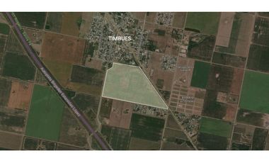 Campo en Timbues, Santa Fé. Ideal urbanización