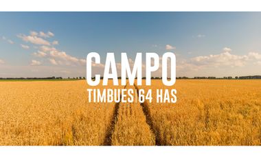 Campo en Timbues, Santa Fé. Ideal urbanización