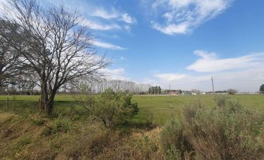 Campo 8,5HS en Ibarlucea