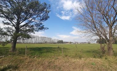 Campo 8,5HS en Ibarlucea