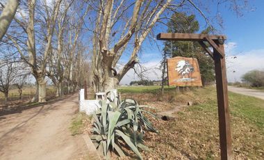 Campo 8,5HS en Ibarlucea