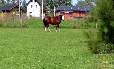 Lote en Barrio Montemar - Calle Las Perdices