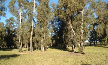 Chacra sobre el rio en barrio privado. RETASADA !!!