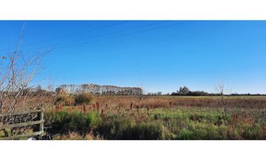 FRACCION DE CAMPO EN IBARLUCEA RUTA 34 S  57.189.- M2