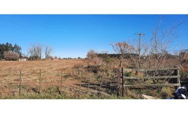 FRACCION DE CAMPO EN IBARLUCEA RUTA 34 S  57.189.- M2