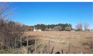 FRACCION DE CAMPO EN IBARLUCEA RUTA 34 S  57.189.- M2