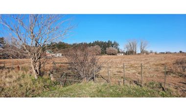 FRACCION DE CAMPO EN IBARLUCEA RUTA 34 S  57.189.- M2