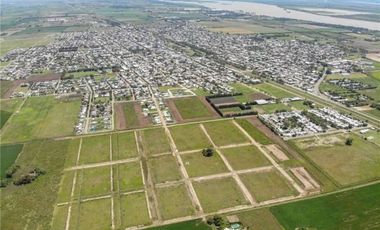 Terreno en Francisco I