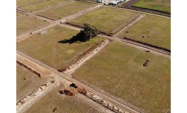 Terreno en Francisco I