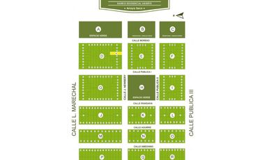 Terreno en Francisco I