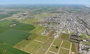 Terreno en Francisco I