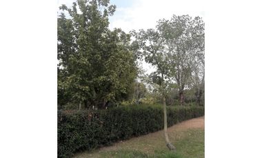 VENTA Casa con Pileta en hermoso terreno en OLIVEROS