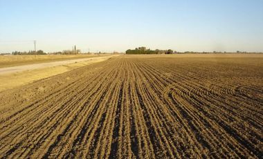 CASILDA 12,5 HA - AGRICOLAS 100 %