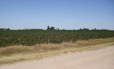 CASILDA 12,5 HA - AGRICOLAS 100 %