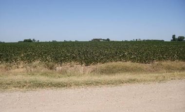 CASILDA 12,5 HA - AGRICOLAS 100 %