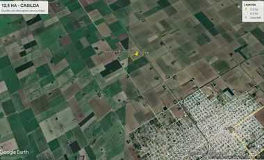 CASILDA 12,5 HA - AGRICOLAS 100 %