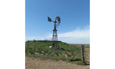 714 has ganaderas Zona Firmat