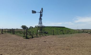 714 has ganaderas Zona Firmat