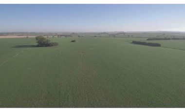 Campo en Oliveros, a metros de Autopista Rosario/ Santa Fe