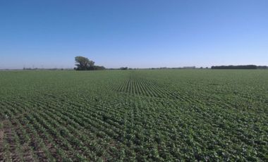 Campo en Oliveros, a metros de Autopista Rosario/ Santa Fe