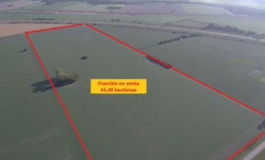 Campo en Oliveros, a metros de Autopista Rosario/ Santa Fe