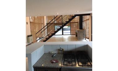 DR. REGULES Nº 495 - RICARDONE