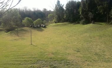 Camino a la Olla Villa Elvira - Timbúes