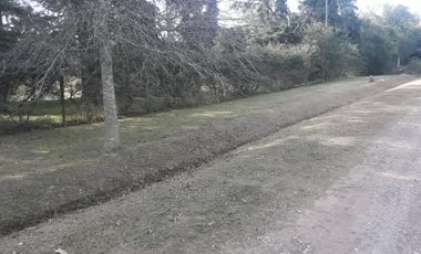 Camino a la Olla Villa Elvira - Timbúes