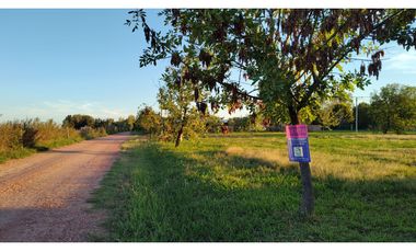 Ibarlucea: Alfredo Schilla 2200 - Terrenos en Barrio abierto Don Hector desde 430 m2, Santa Fe Argentina