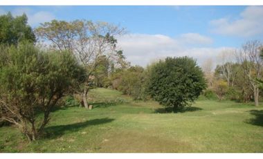 Resero y Costanera. Retasada!!!