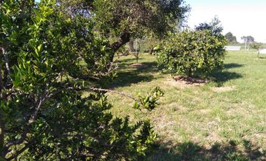 Casa de Campo y 2 Has - Ideal Fin de Semana - Emprendimientos- en Victoria Entre Ríos