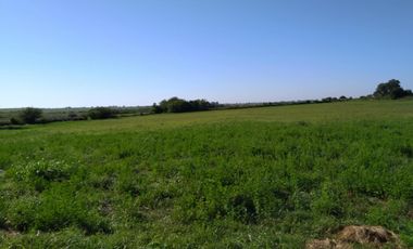 Casa de Campo y 2 Has - Ideal Fin de Semana - Emprendimientos- en Victoria Entre Ríos