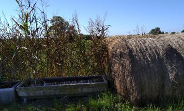 Casa de Campo y 2 Has - Ideal Fin de Semana - Emprendimientos- en Victoria Entre Ríos